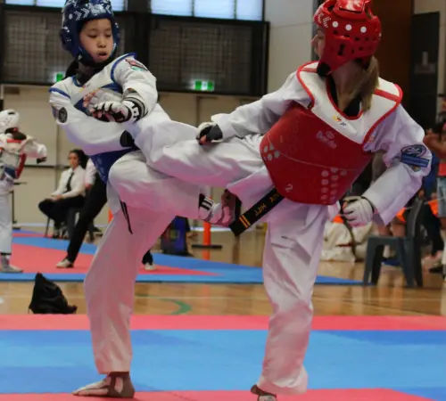 Taekwondo fighting is an exciting Olympic sport for male and female athletes